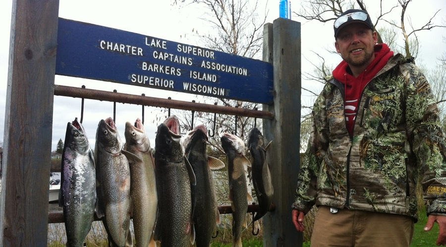 large string of lake trout caught on a chartered lake superior fishing boat